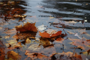 landscaping drainage near me