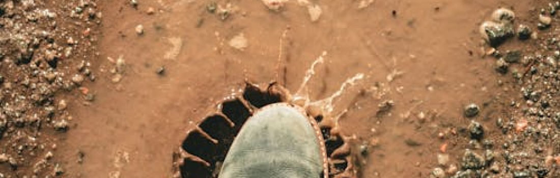 What Are the Uses of a French Drain?